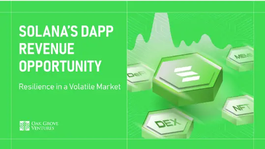 Solana dApp 收入机遇：动荡市场中的韧性成长