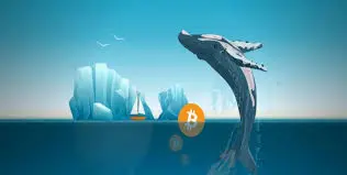 거대 고래가 공개하는 새로운 놀이터 Hyperliquid, 거래력과 주의력이 다시 만나다