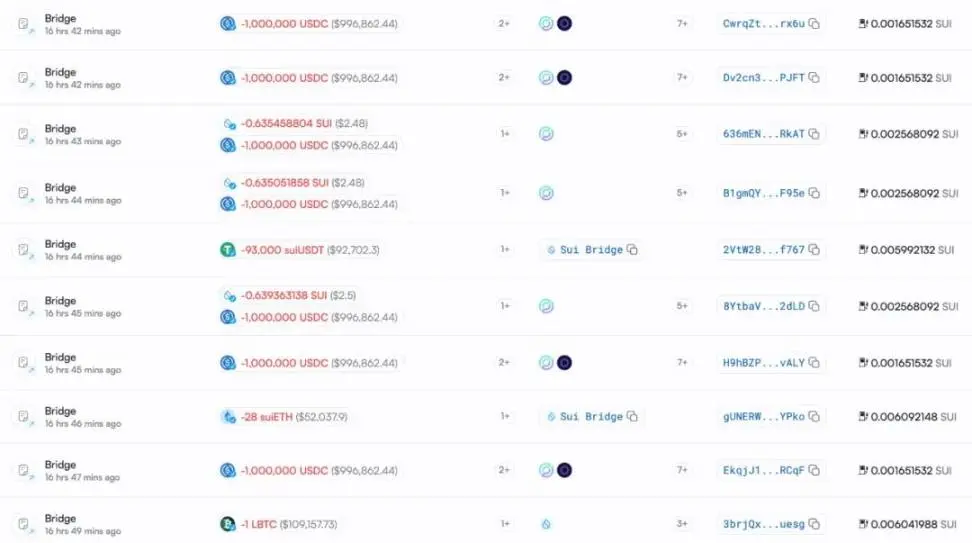 Slow Fog: Analysis of the Cetus Theft Incident, 1 Token Leveraged 230 Million USD, SUI Foundation Assists in Freezing 162 Million
