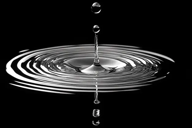 James Wynn 上億美元爆倉後，趙長鵬為何力挺 Web3 暗池交易？