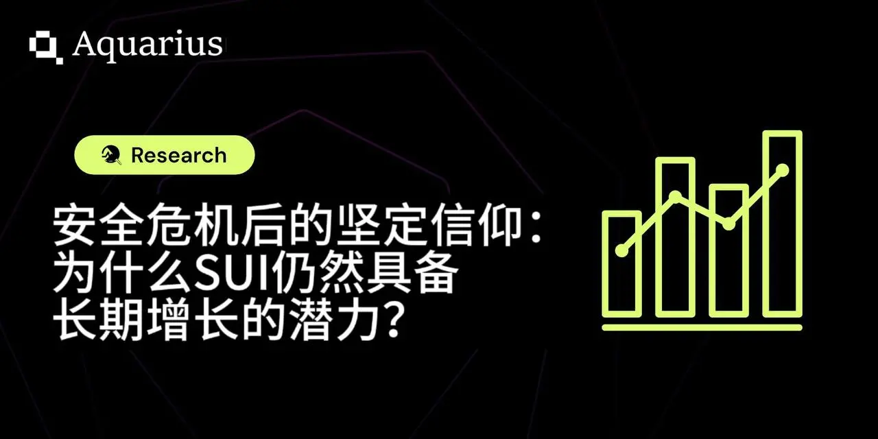 安全危机后的坚定信仰：为什么 SUI 仍然具备长期增长的潜力？