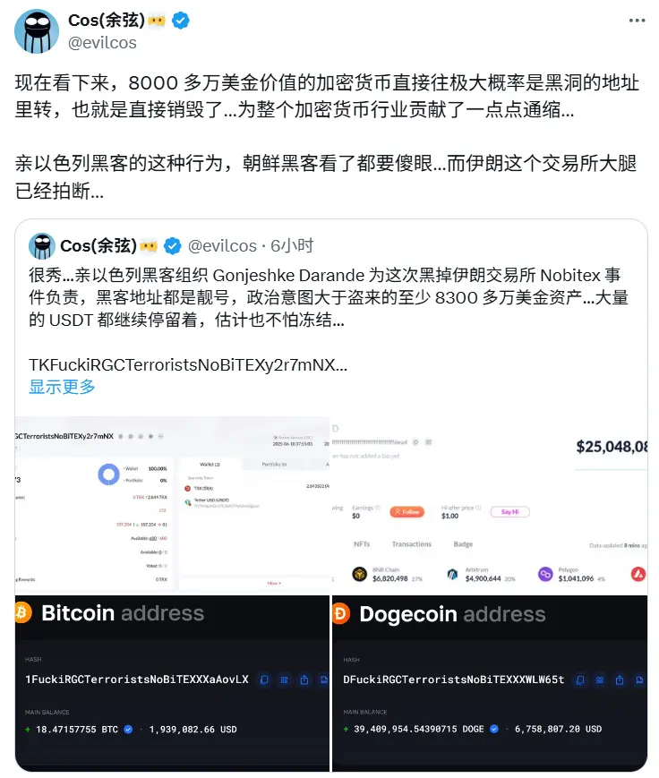 慢霧餘弦：Nobitex 被盜逾 8000 萬美元加密資產有極大概率會直接銷毀