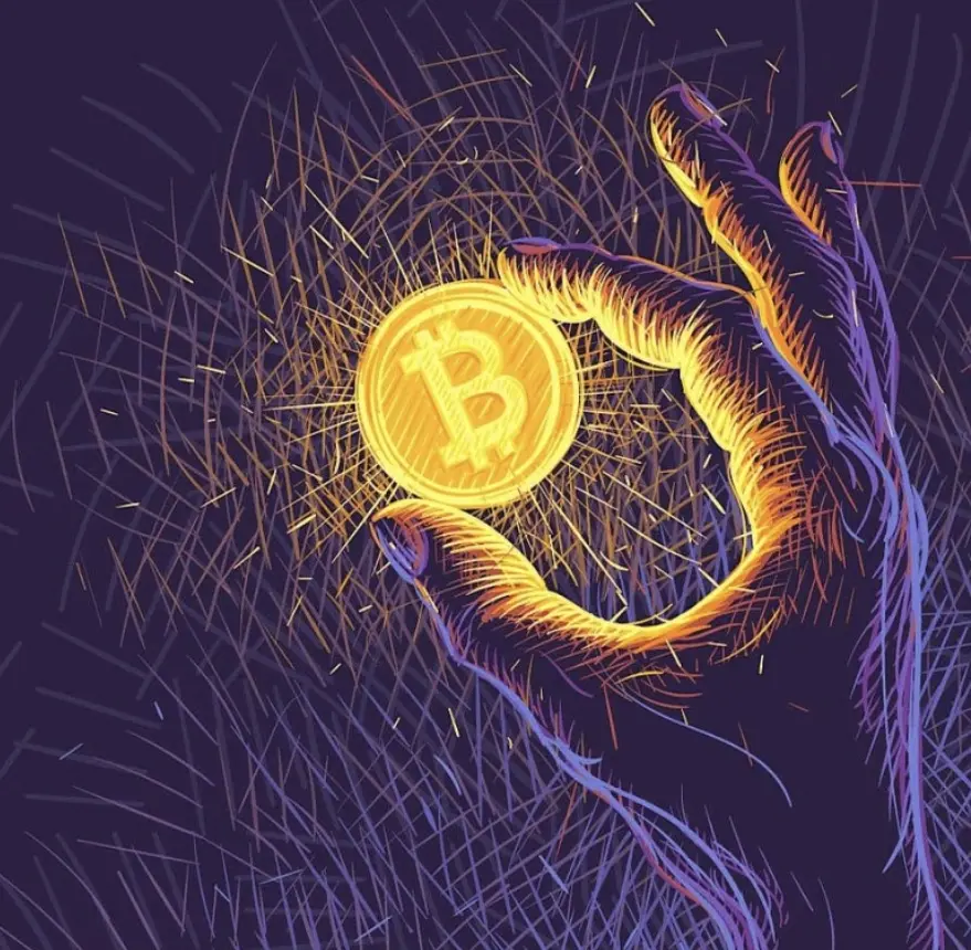 链下并行、链上结算，一文读懂比特币原生虚拟执行层 Arkade | CryptoSeed