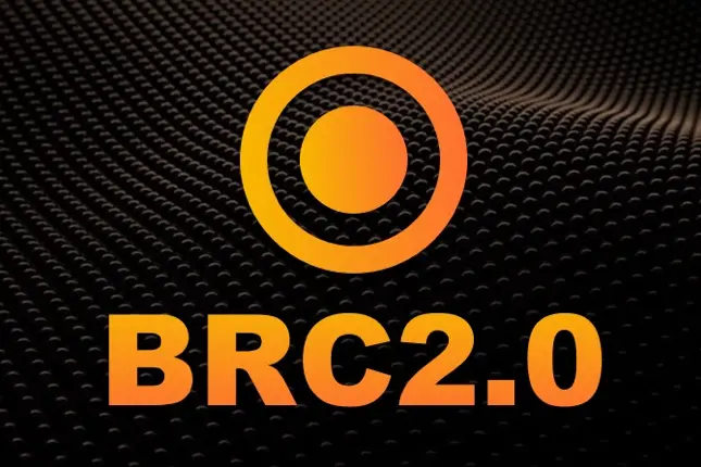 Best in Slot：BRC2.0 常见问题解答