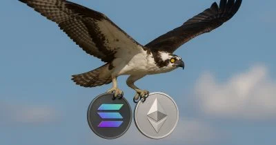 웹 이미지