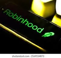 Robinhood 的链上股票，被查了