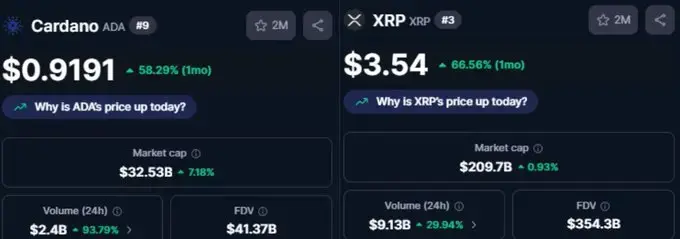 勞力士:加密牛市的頂部警報燈