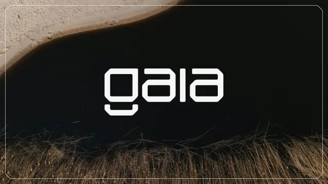去中心化人工知能推論 Gaia の投資研究報告