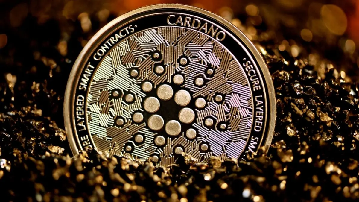 Cardano 的 7100 萬美元治理改革實驗：邁向自治之路