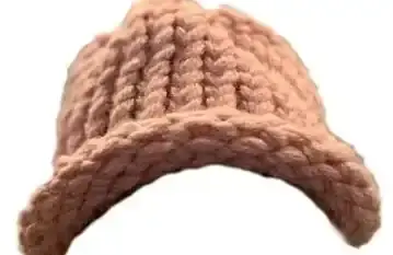 Is spending 800,000 dollars to buy a 30-dollar hat a marketing frenzy in the meme coin circle or a strategic layout?