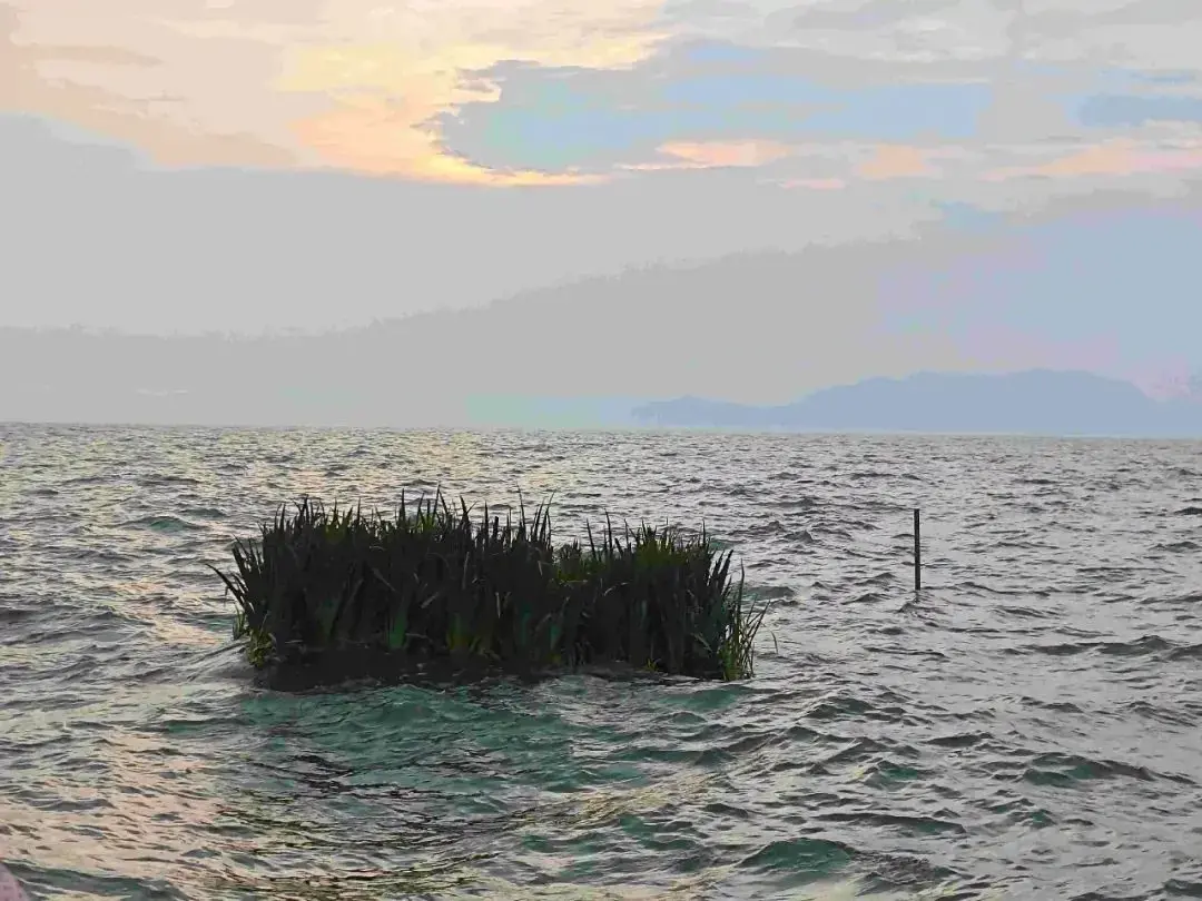 첫 번째 00년대 출생 Web3 노동자들이 이미 "퇴출"하기 시작했다