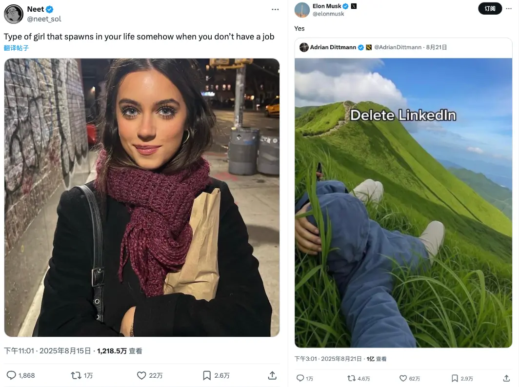 Solana Meme makes a strong comeback, what are people trading on-chain?