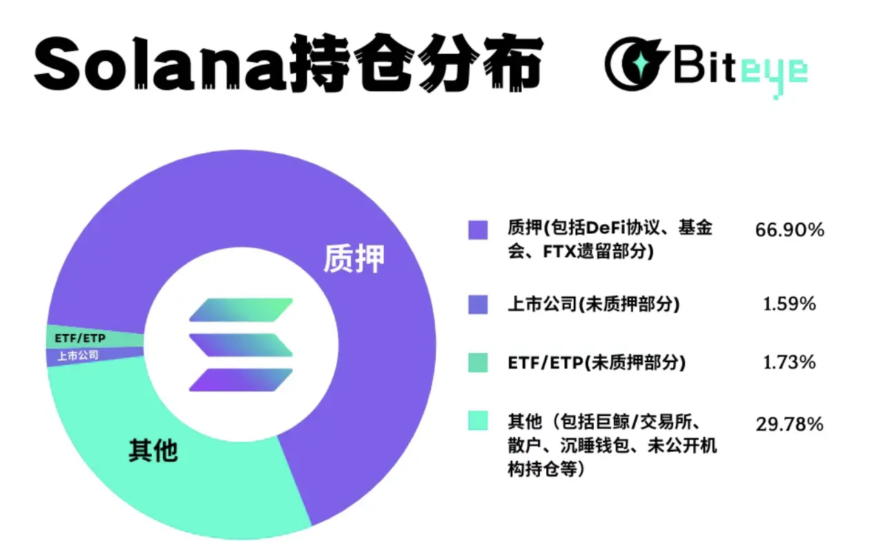 Solana Holding Analysis: Who Are the Real Chip Controllers?