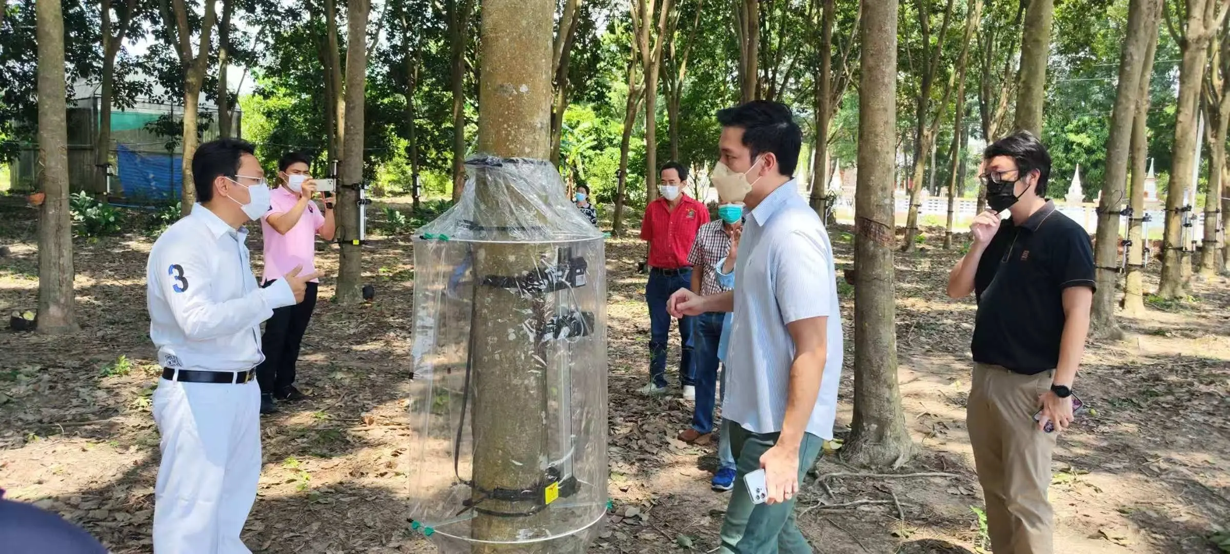 RUBBER 토큰은 방콕에서 발행되었으며, 세계 최초의 AI 고무 절단기 RWA 프로젝트입니다