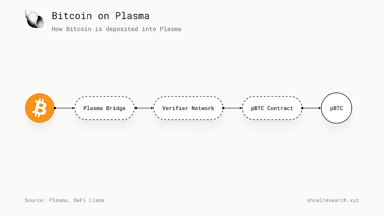 Plasma 深度研究:赛道痛点、创新机制与未来前景