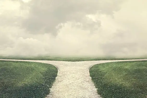 조수가 빠진 후, Meme과 Build의 경로 차이에 대해 다시 이야기하자