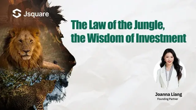 丛林法则，投资之智