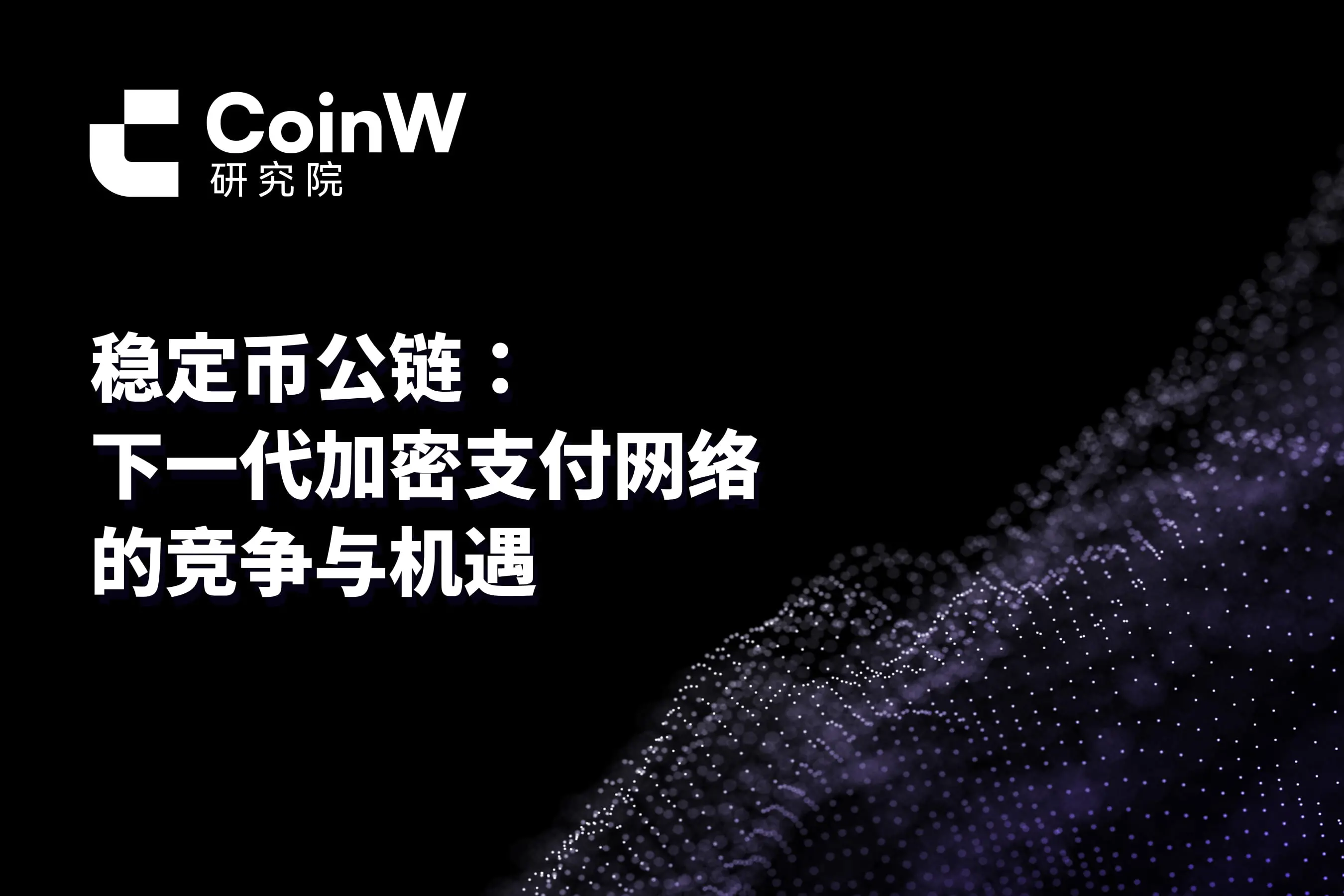 稳定币公链：下一代加密支付网络的竞争与机遇 