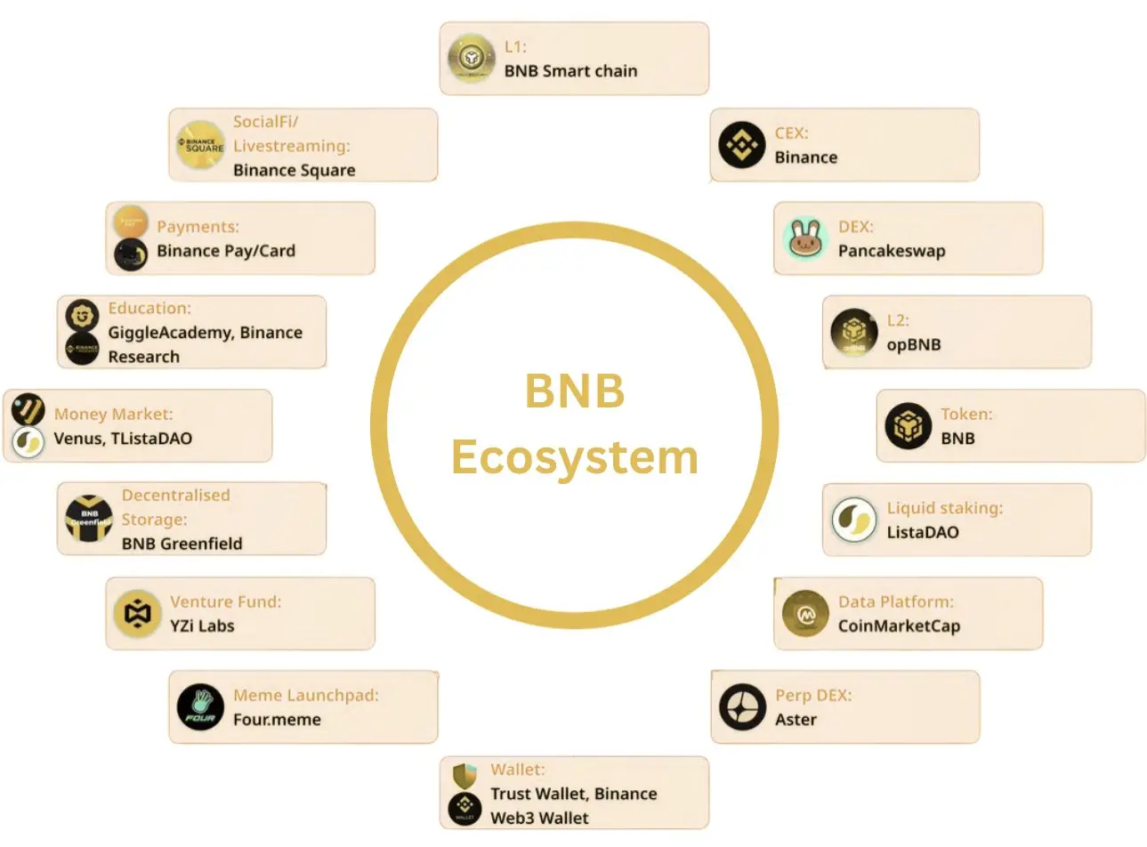 YZi Labs Heavy Report: BNB's Positioning, Economic Model, and Core Competitiveness
