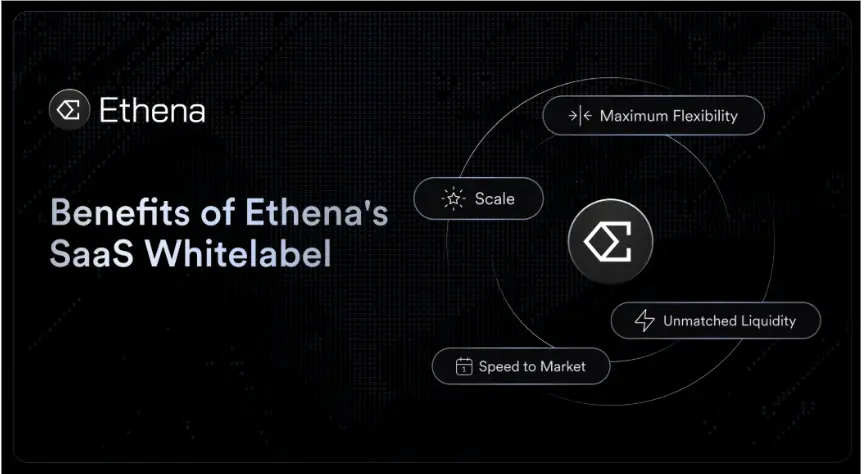 스테이블코인의 다음 단계, 자산에서 서비스로