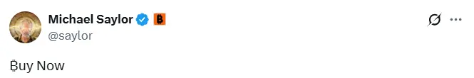 Michael Saylor：立即购买比特币