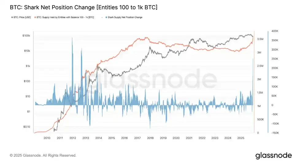 分析：比特币回撤 30% 之际，“鲨鱼地址”正以 13 年来最快速度加仓
