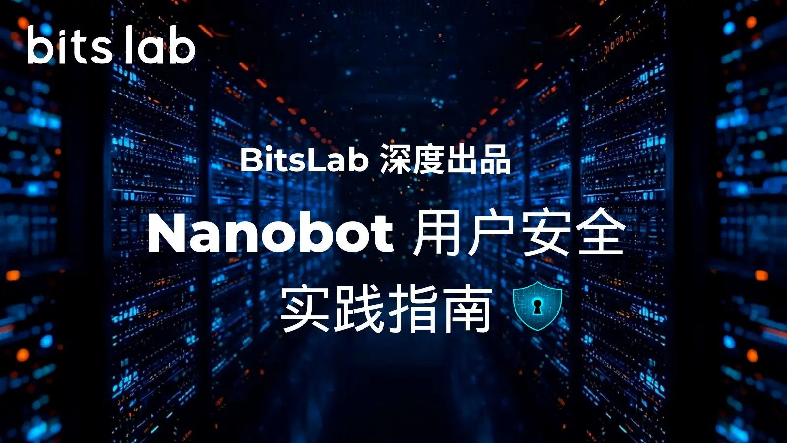 BitsLab 深度出品：Nanobot ユーザー安全実践ガイド