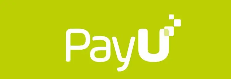 Dissecting 80 mainstream payment institutions and wallets worldwide