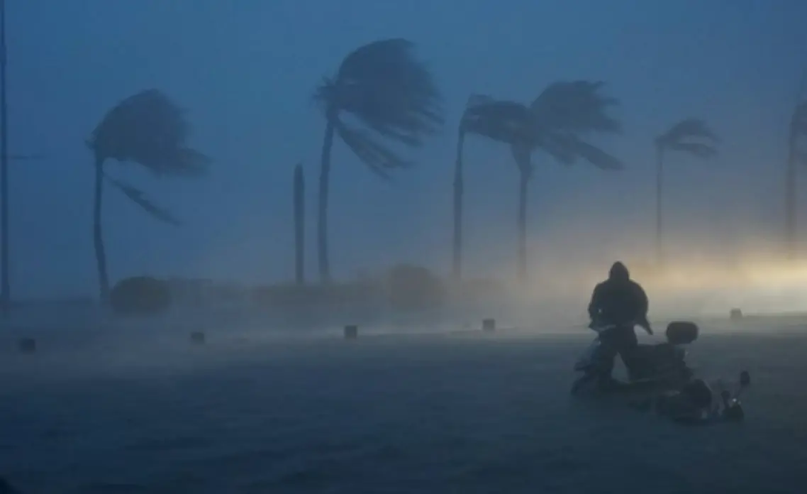 How has the Pacific "fever" turned extreme weather into a cash machine for Wall Street?