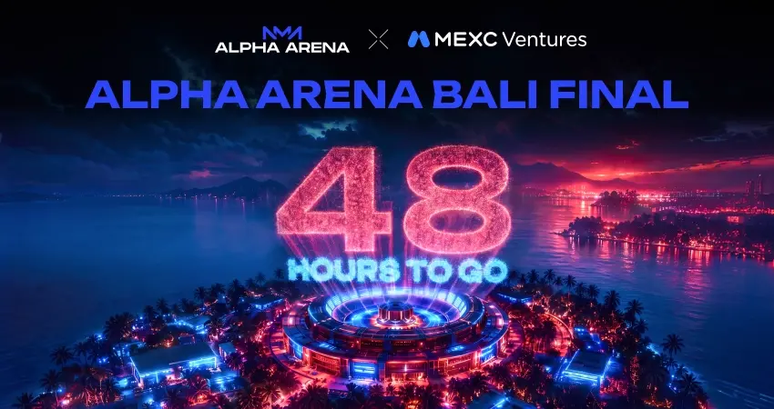倒计时 48 小时: AlphaArena 决赛选手备战巴厘岛舞台