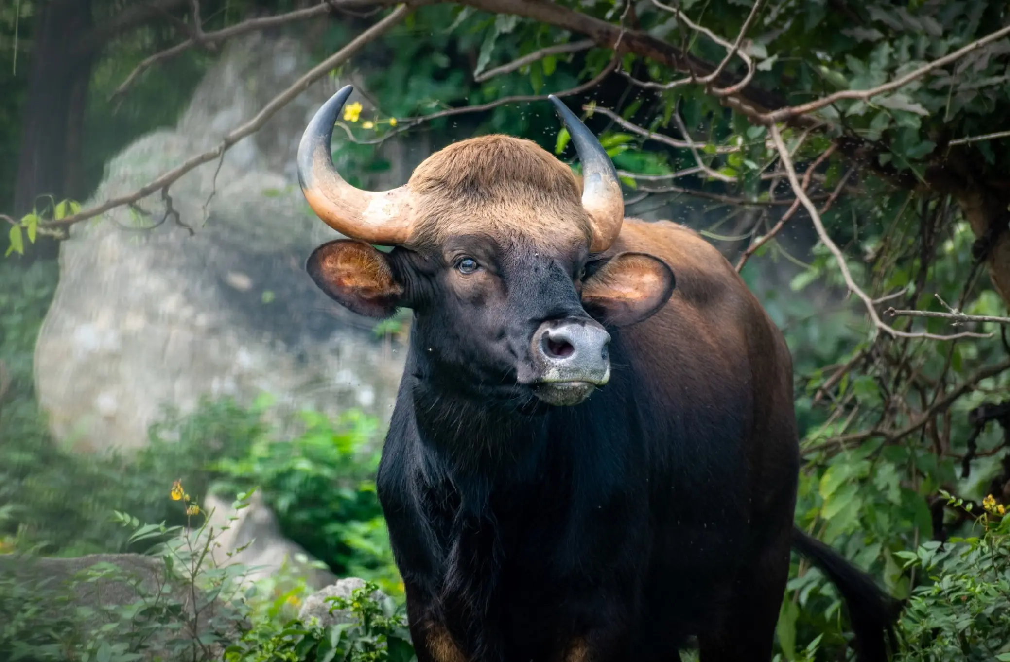 The bear market has ended, and a new bull market cycle has begun
