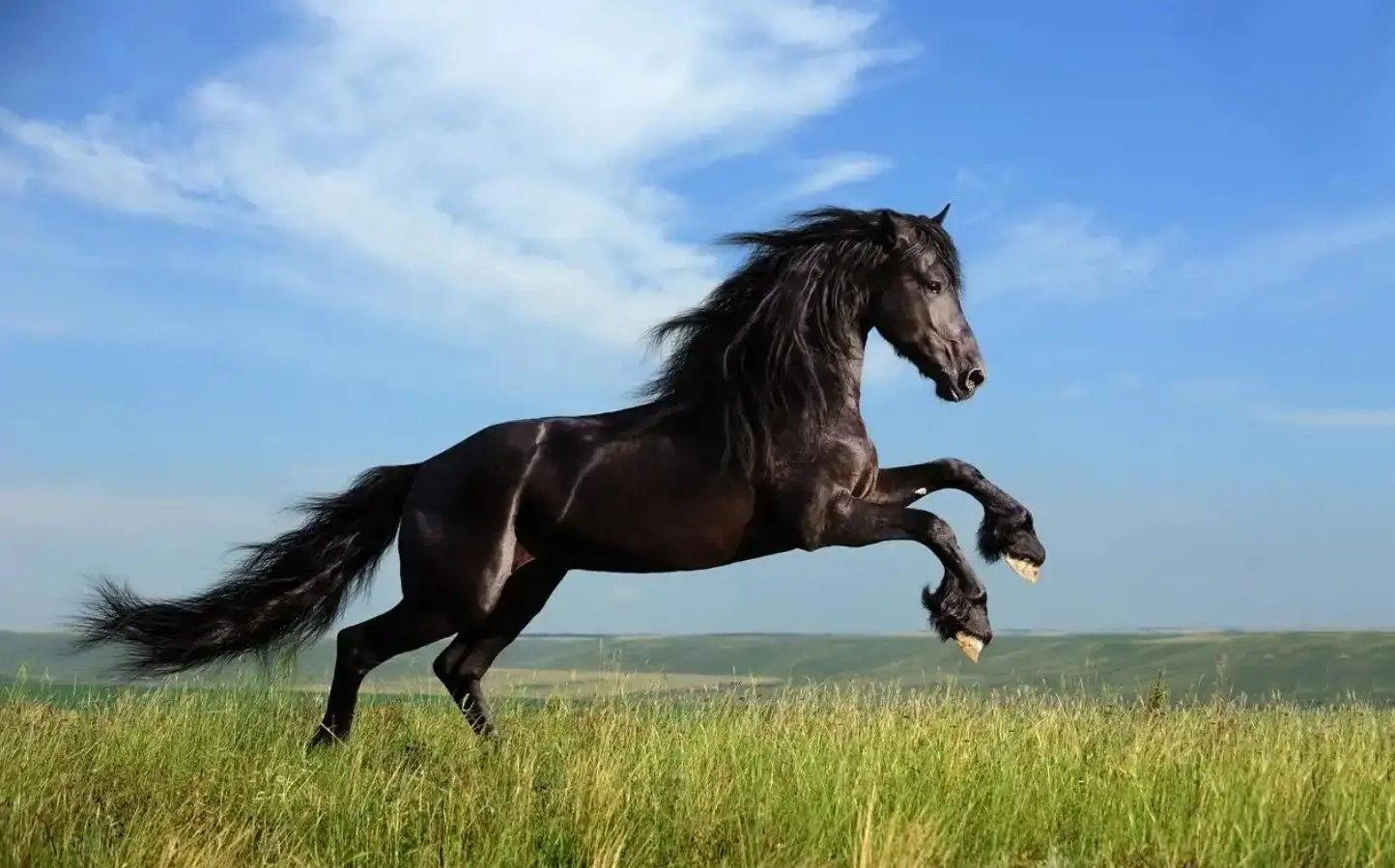 The biggest dark horse in AI payments may be Coinbase, which has given Agent a wallet