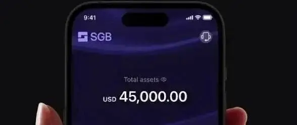 대행과 Crypto 사이에 SGB가 생겼다