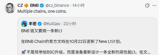 새로운 코인을 발행하지 않고, 낮은 지연 시간을 강조하는 BNB Chain이 왜 새로운 L1을 만들고자 하는가?