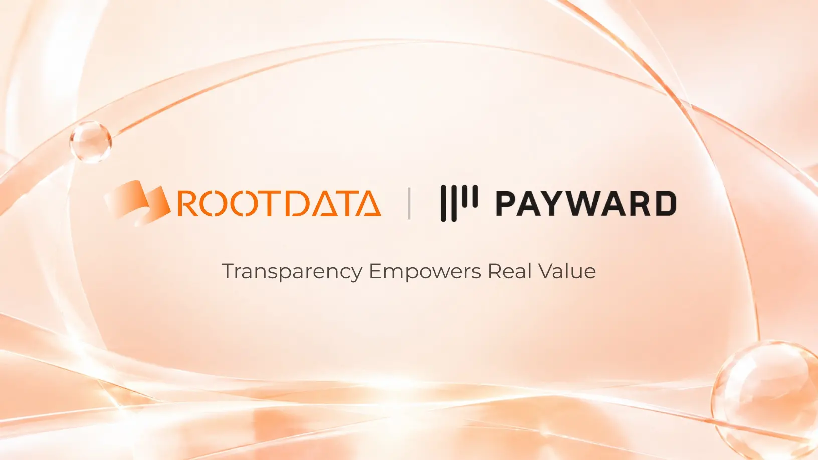 토큰화 자산 데이터 플랫폼 RootData가 Kraken 모회사 Payward와 심층 데이터 협력을 체결했습니다