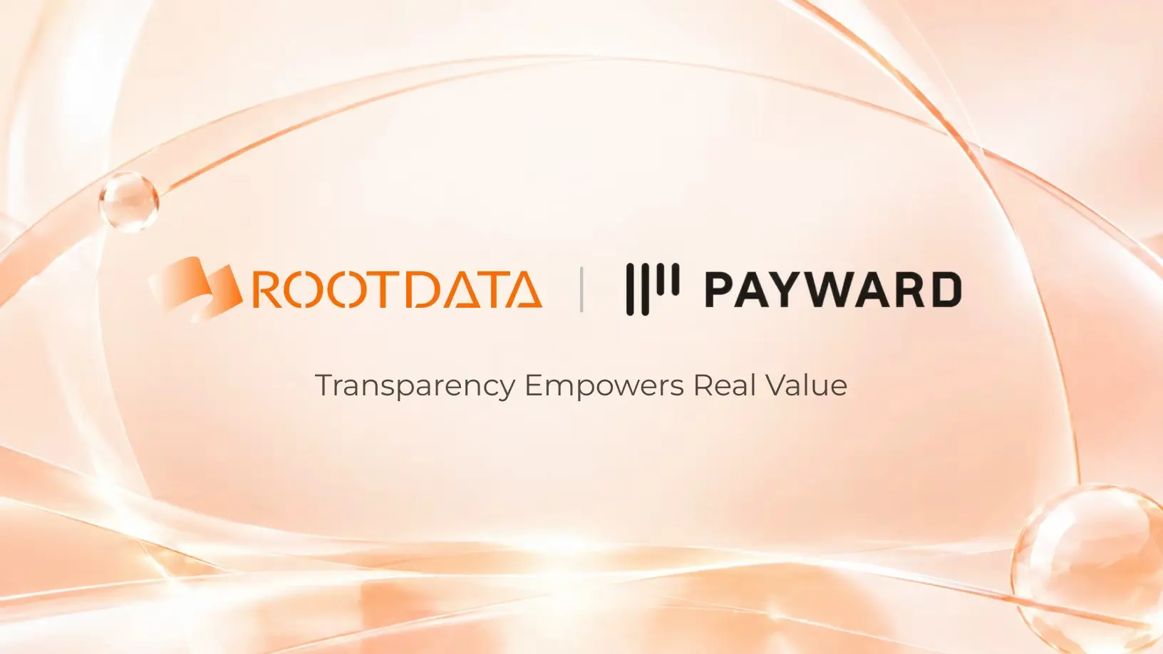 從 Binance Alpha 到 Payward:RootData 已成為更多機構信賴的代幣化資產數據層